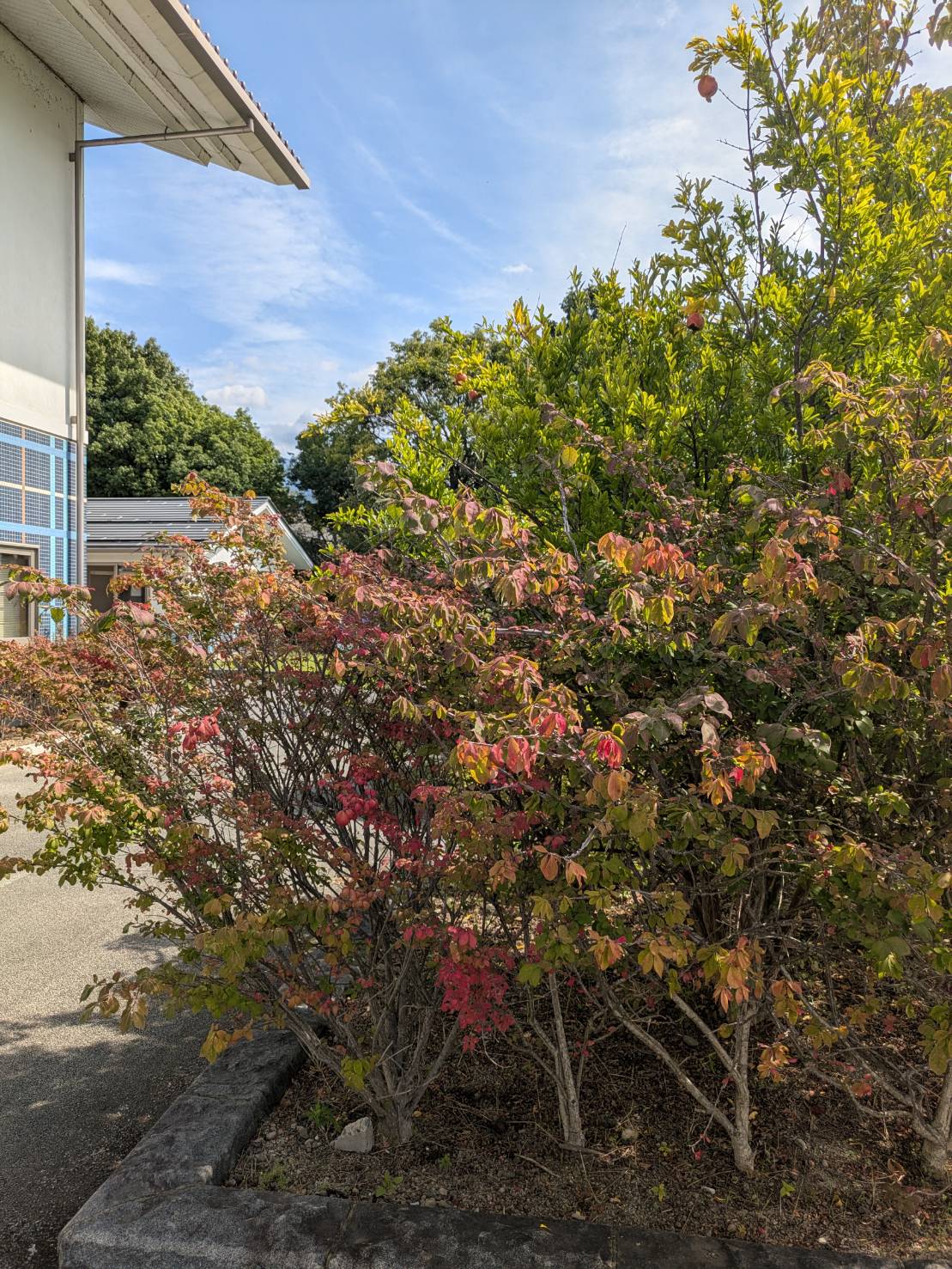 東信正派合奏団